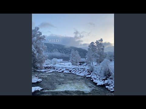 Wild (From the Original Netflix Series ¨Home For Christmas Season 3¨)