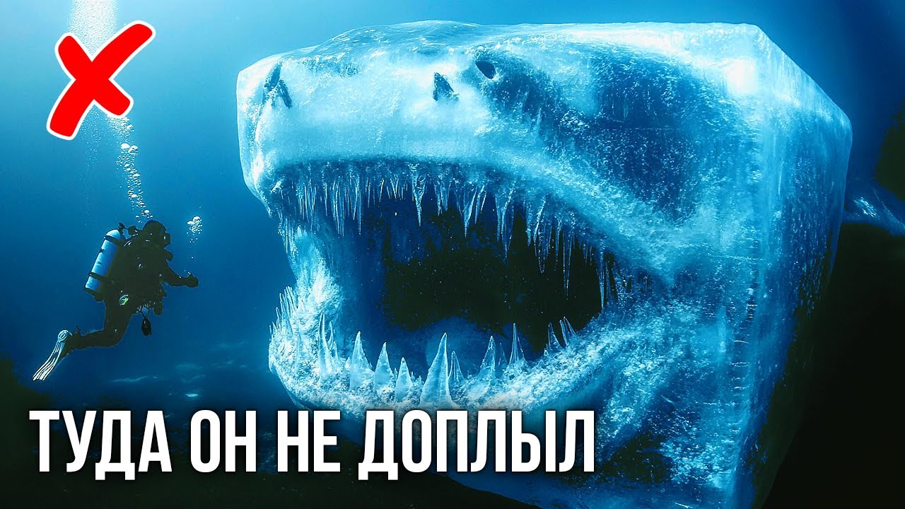 Секреты глубин: почему мегалодон избегал Антарктиду