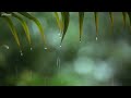 Relaxing Music Rain Sounds Beautiful Piano Music Background Music Sleep Music You Me