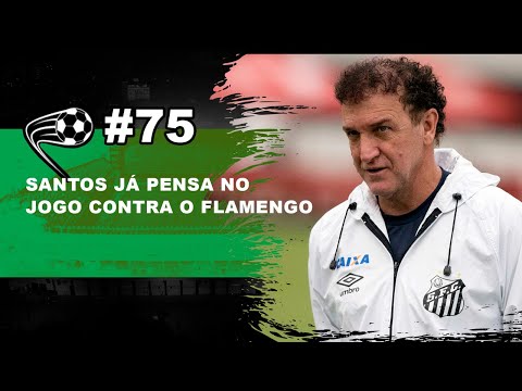 Santos já mira Flamengo no domingo