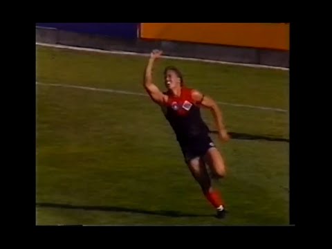 1994 - Melbourne v Geelong - News Report - Neil Balme, Garry Lyon, Allen Jakovich & Sean Wight - Rd1