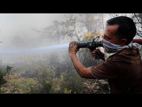 Megállíthatatlan a libanoni erdőtűz