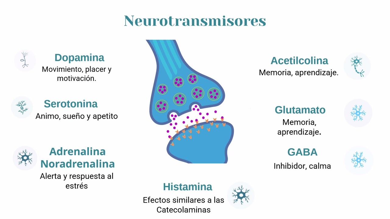 Eduardo Padilla Ordóñez-21