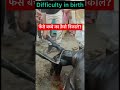 Difficulty In Birth L Dystocia L Dr Umar Khan