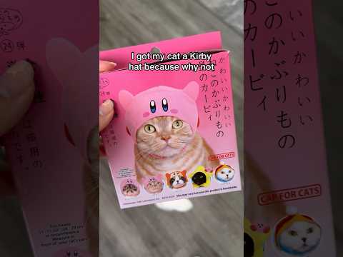 This Kirby cat hat did NOT disappoint 😳 #shorts