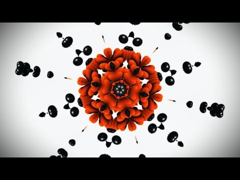 Kaleido Warp |  3D Kaleidoscope Mandala | Surreal CG Animation