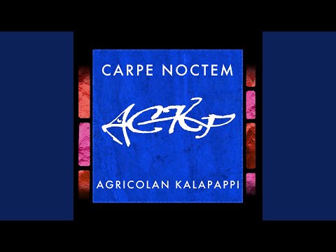 Carpe Noctem