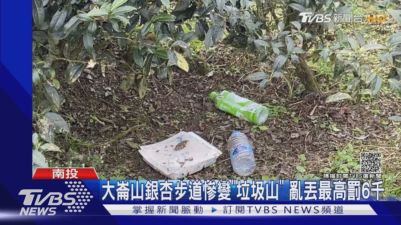 南投大崙山銀杏步道慘變「垃圾山」 亂丟最高罰6千