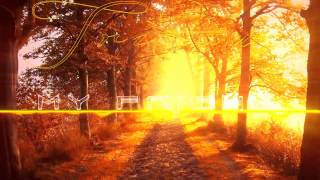 [Drumstep] Tristam - My Friend