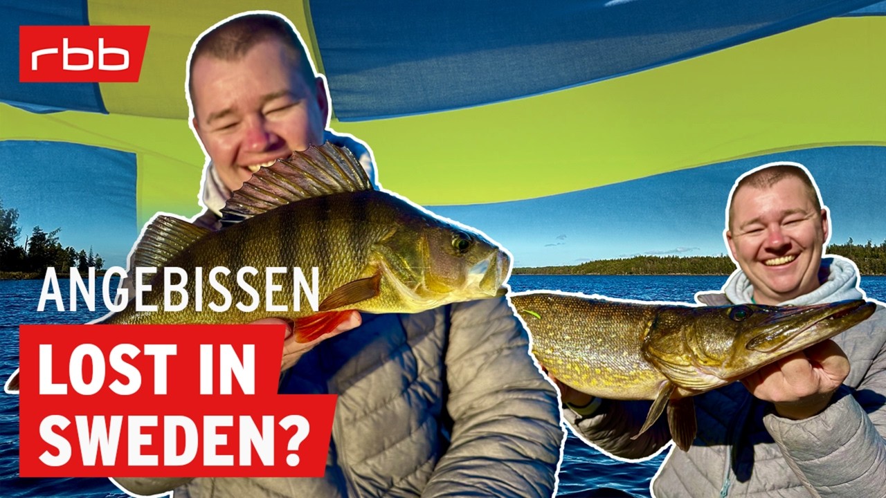 Wo sind die Fische? Angelspots entdecken in Schweden | Angebissen #208 | Angelpodcast