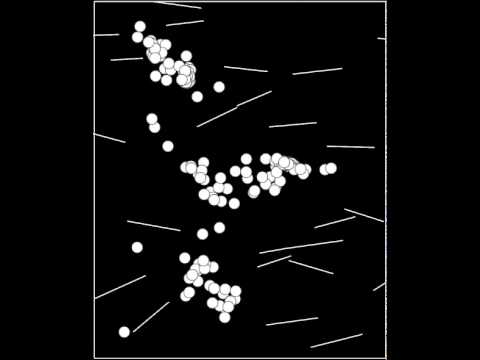 Эволюция как основа развития ИИ в видеоиграх. Эволюция как основа развития ИИ в видеоиграх. Фото.