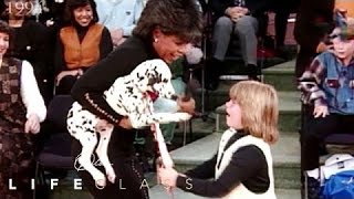 The Healing Power of a Puppy | Oprah&#39;s Lifeclass | Oprah Winfrey Network