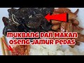 Mbah Maryono Mukbang Makan Oseng Jamur Dan Tahu Pedas Mbahmaryono1969 Pijat