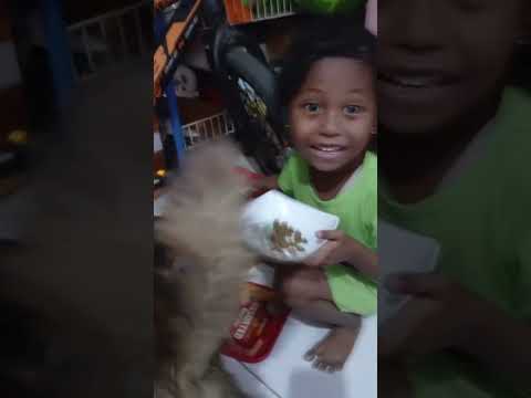 Raysha dan miko sedang bermain