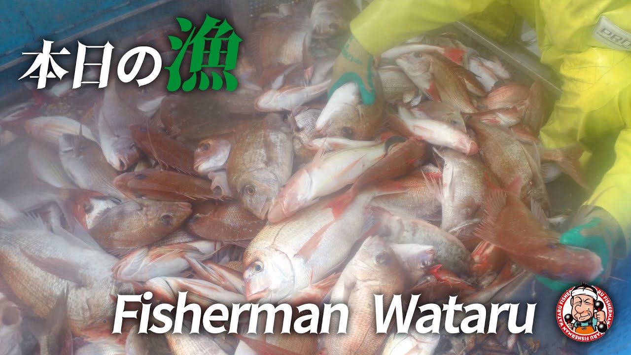 本日の漁はいかに...！？久しぶりの海、果たして結果は？