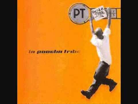 Pooglia Tribe - Manifesto