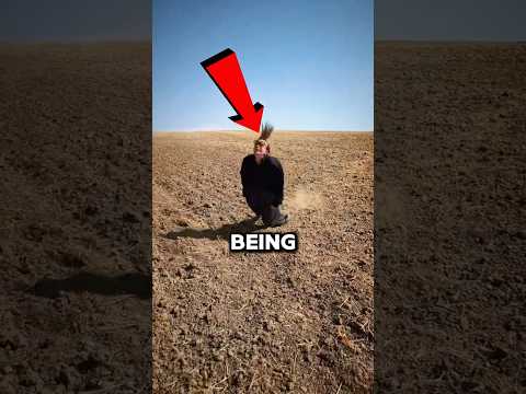 Shes So Good At This 🤯 (@lilouruel)