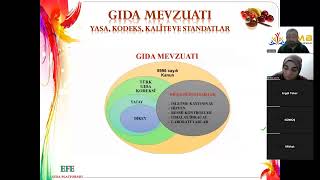 Küresel Kuruluş ve Örgütler, Kural Koyan Teşkilatlar 1  Bölüm