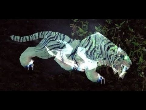 Ankha and Magria - WoW Hunter Taming Guide