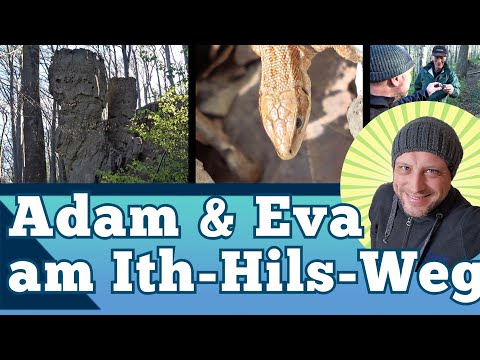 Highlights am Ith-Hils-Weg - Wandern Fahnenstein - Teufelsküche - Adam und Eva - Wilhelm-Raabe-Turm