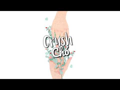 Crush Chó ( #NKN ) - Shanks | Tn Boy Channel