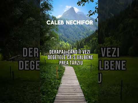 Caleb Nechifor #god #foryou #romania #blessed #family #love #lovegod #2024 #religion #2023