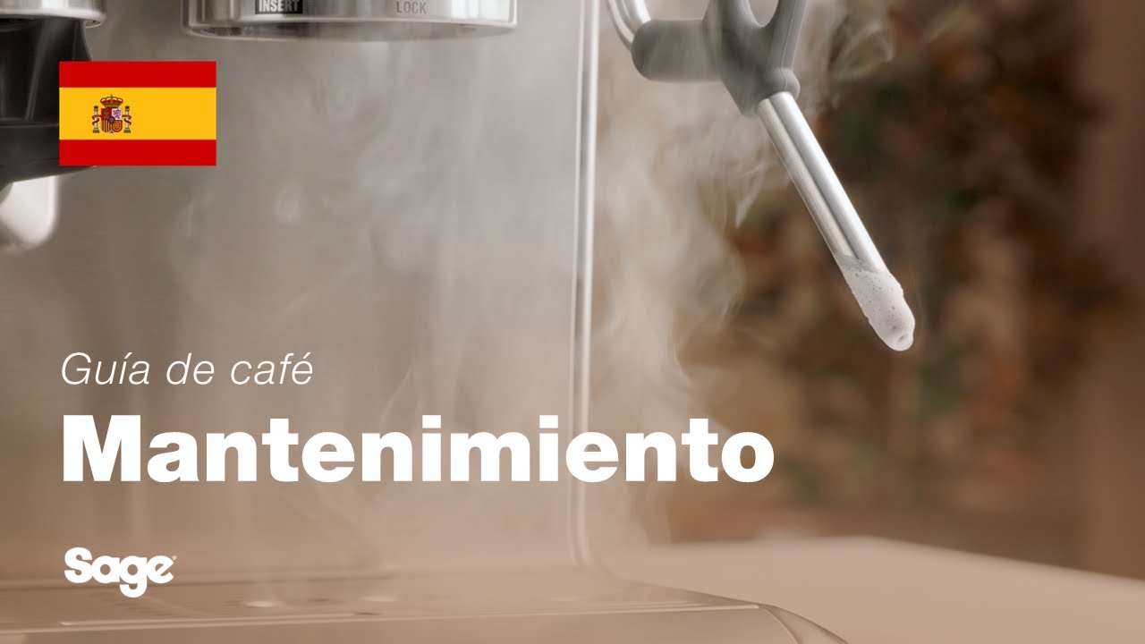 Cómo limpiar y desatascar la lanceta