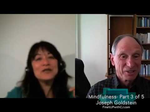 Part 3: Practicing Mindfulness at work (Joseph Goldstein)