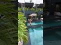📍Bali,Indonesia🇲🇨   #travel#hotels#shorts#bali