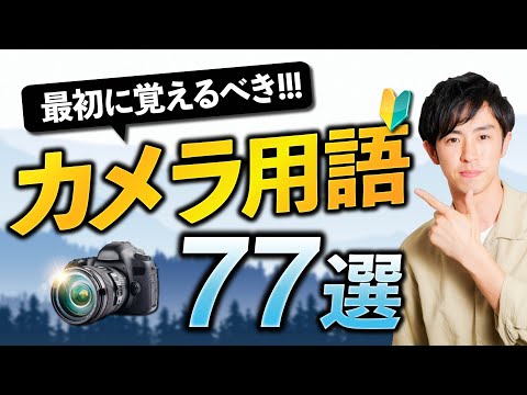 【超初心者】カメラと写真の基本用語77選【完全一覧】