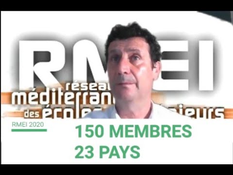 Présentation du questionnaire RMEI 2020, sous-titres français