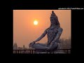 Gangaa Taranga Ramaneeya Vishwanath Ashtakam ഗംഗാ തരംഗ രമണീയ ജടാ ക