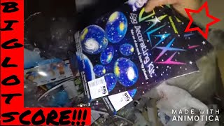 Dumpster Diving Big Lots EASTER SCORE!!!! Trash picking, trash into cash, trash to treasure