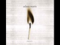 Adam Watts - Fly Fall Fly 