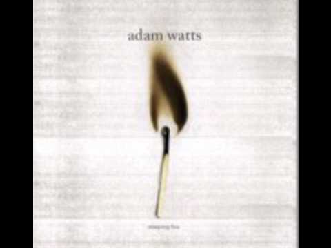 Adam Watts - Fly Fall Fly