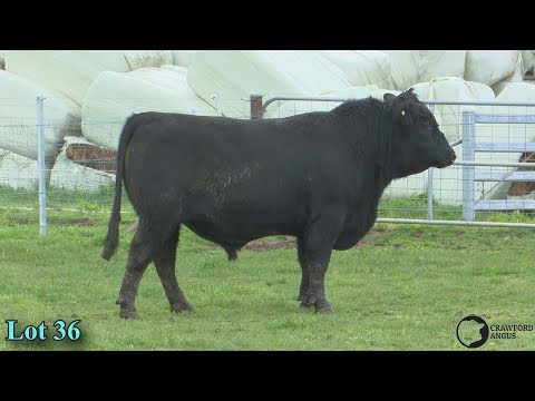 Lot 36 Crawford N310