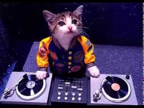 martin garrix vs dvbbs vs tjr vs bassjackers vs borgore