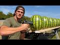 How Many Watermelons Does it Take to Stop a Bullet? DEFAULT Thumbnail