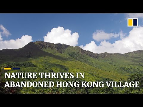 Shalotung: Hong Kong’s haunting natural haven in the hills