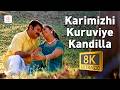 Karimizhi Kuruviye Kandilla 8K 4K Video Song Meesamadhavan Dileep Kavya Madhavan Vidyasagar