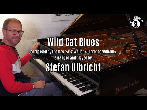 Wild Cat Blues - Stefan Ulbricht