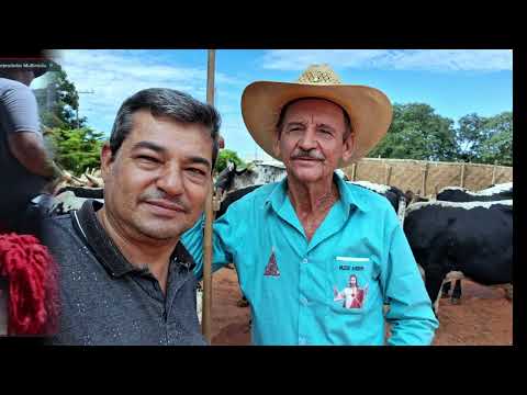Assista ao vídeo
