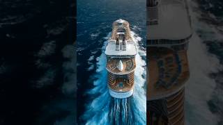 Inside the World’s Most Luxurious Family Cruise #facts #viral #travelshorts @MrBeast
