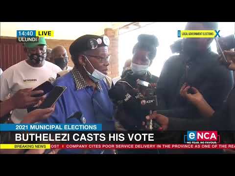 Buthelezi comments after casting his vote