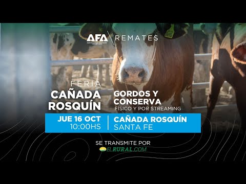 Remate AFA Gordos y Conserva desde Cañada Rosquin Santa Fe