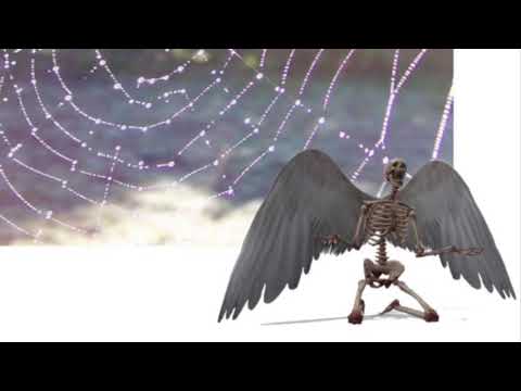 speedstarr - trees are talking [prod. $anfak]