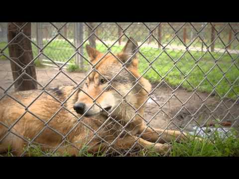 Szerencse Híradó - 2014. október 24.