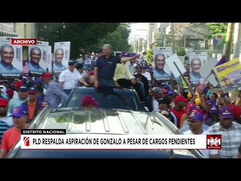 The PLD supports Gonzalo Castillo's presidential bid | Noticias SIN and Much More