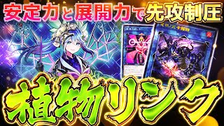 【遊戯王マスターデュエル】安定力と展開力で先攻制圧！植物リンクデッキ【ゆっくり解説】【Yu-Gi-Oh! Master Duel】