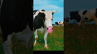 cow #animals comedy #Cow videos #cow sound #funny cow #cow video